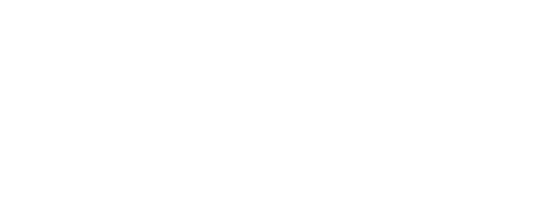 Digital Storm LLC