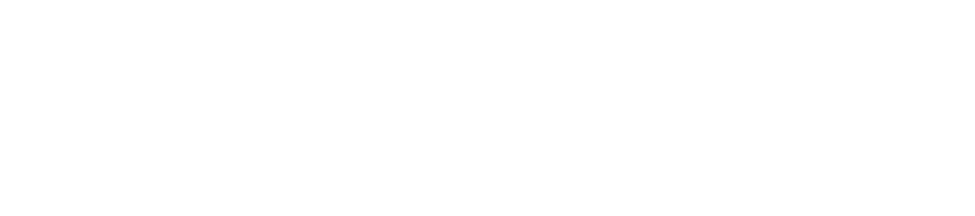 Digital Storm LLC